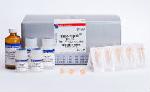 easy-spin (DNA free) Total RNA Extraction Kit, 50 columns